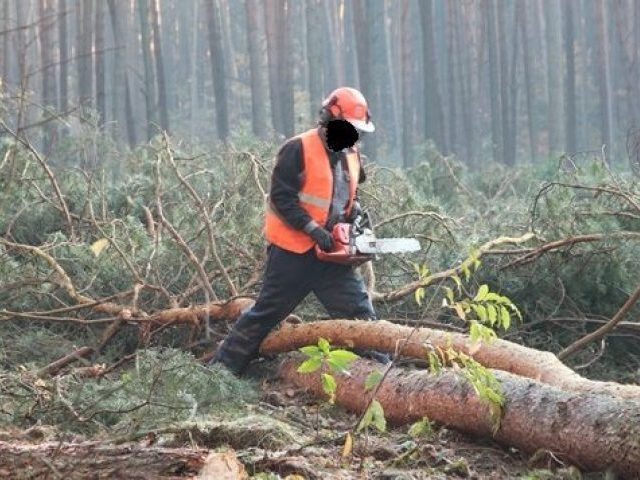 Ktoś chciał spalić  robotników leśnych?